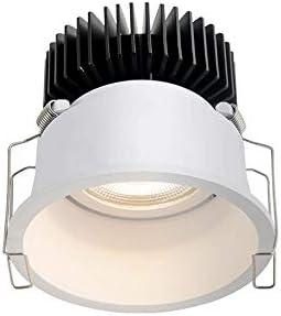 Wlnnes White 5W/10W LED Recessed Downlight High Color CRI95 Indoor Lighting 3000K/4000K Ceiling Lighting Recessed Ceiling Light Spotlight for Attic Office Kitchen (Color : 10W-3000K Warm Light)
