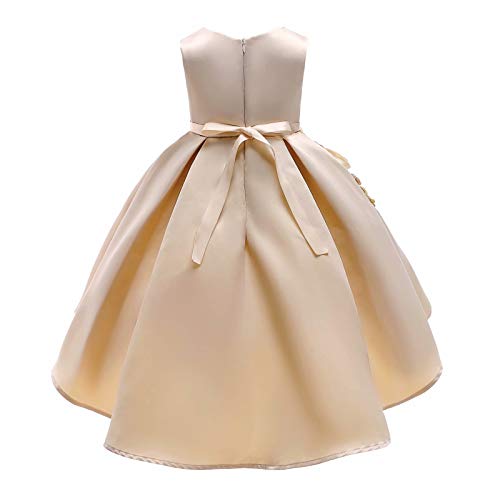 AYOMIS Girl Dress Princess Gowns Party Flower Christmas Wedding Dresses(Champagnge,5-6Y)