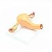 KISSTAKER 2 Part PVC Uterus Ovary Anatomical Model Anatomy Cross-Section Teaching with Base