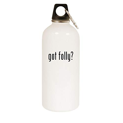 got folly? - 20oz Stainless Steel White Water Bottle with Carabiner, White