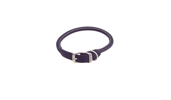 petco rolled leather collar