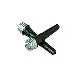 Amicool Portable Wireless Microphone Karaoke Player Speaker for Apple iPhone Android Smartphone or PC, Gold, 31