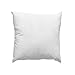 Famous Maker White x 18in Feather/Down Pillow Form