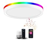 CLOUDY BAY 12 Inch LED Smart Flush Mount Ceiling