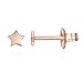 PAVOI 14K Gold Plated Star Stud Earrings - Rose