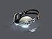 Sennheiser Momentum Headphone - Ivory