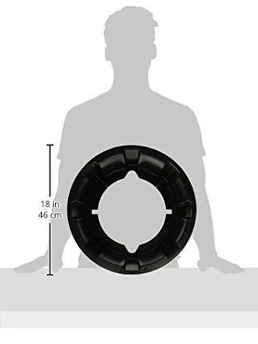 Pentair 154926 Foot Tank Replacement Pool and Spa Filter