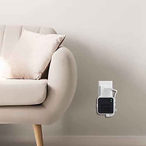 256GB USB Flash Drive and Outlet Wall Mount for Blink Sync Module 2