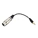 XLR to 3.5mm Cable, Riipoo 6 inch 1/8