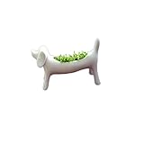 Glovion Miniature Dog Aerobic Desktop Potted Planting Bonsai Oxygen Potted Plant -Desktop Bar Everyday You Can Breathe Fresh Air &Enjoy Cultivation