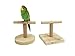 MINORPET Wood Perch Training Stand Bird Cage Accessories for Parrots Parakeets Lovebirds Cockatiels Exercise Play Toys (Circular Base)thumb 1