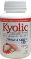 Wakunaga/Kyolic, Aged Garlic Extract W/Gaba B1 B6 B12 Formula 101, 100 Tab
