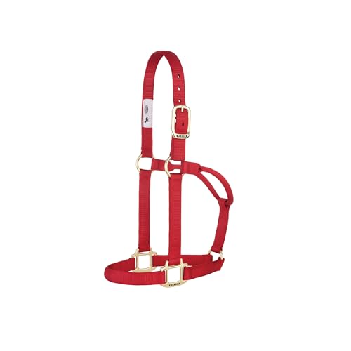 Weaver Leather Original Non Adjustable Halter (Red, Avarage Horse/Yearling Draft)