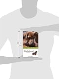 Image de Dachshund: Your Happy Healthy Pet