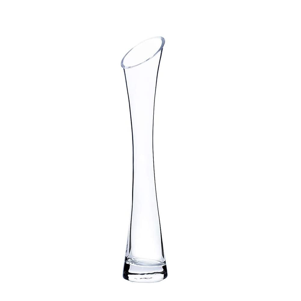 QUUPY 25CM Small Flower Vase Tall Thin Narrow Necked Glass Vases Clear Mini Mouth Single Stem Vases for Decorative Home Decor Living Room Office and Centerpieces, Transparent