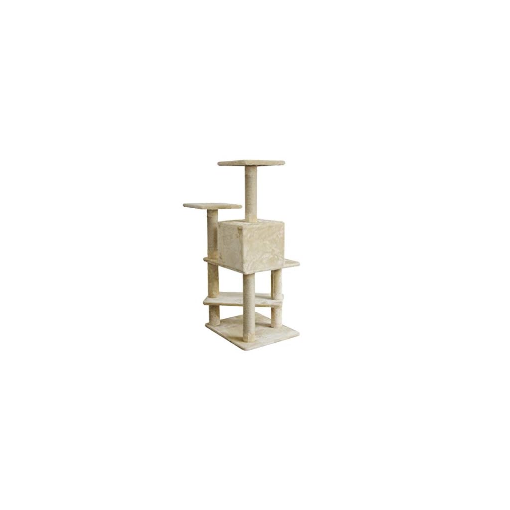 AmazonBasics Cat Tree with Condo The Cat Site