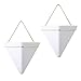 PUDDING CABIN 2 Pack Small Wall Succulent Planters Gold-White Wall Decor Geometric Triangle Hanging Planters 4Inch Succulents Pots for Cactus, Air Plants, for Mom