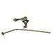 Danco 11096 Toilet Tank Lever, Polished Brass