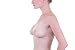 Mystiqueshapes Women Reveal Cleavage Galore Silicone Nu Bra Cups Breast Enhancers (B, Clear)