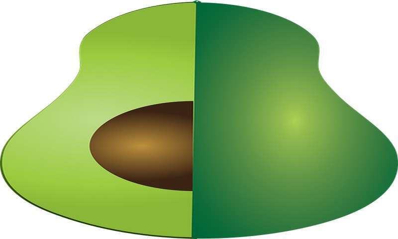 Dill Leaves Indian - //medicalbooks.filipinodoctors.org