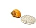 Aquatic Arts 5 Live Gold Mystery Snails Freshwater Aquarium Species/Real Living Glass Fish Tank Clearer | Nano Pets/Natural Decorations