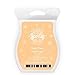 Scentsy Camu Camu 3.2 Oz. Bar
