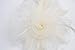 Cizoe Fascinators Hat for Women Tea Party Headband Kentucky Derby Wedding Flower Cocktail Mesh Feathers Hair Clip(1-Beige)