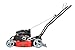 PowerSmart Lawn Mower, 21-inch & 170CC, Gas Powered Push Lawn Mower, 2-in-1 Gas Mower in Color Black, 5 Adjustable Heights (1.18''-3.0''), DB2321CR