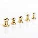 WUTA Solid Brass Round Head Screw Studs Brass Button Nail Rivet Chicago Leathercraft Accessories 20pcs/Pack,10mmX8mm Brass