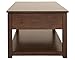 Signature Design by Ashley Marion Traditional Square Lift Top Coffee Table with 1 Fixed Floor Shelf, Dark Brown
