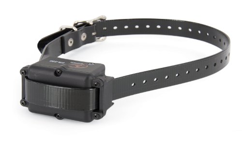 SportDog SD-350 Yard Trainer for Introductory and Advanced