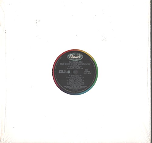 DAVID WILCOX - David Wilcox David Wilcox Reviews Bad Reputation 12