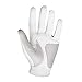 FootJoy Men's WeatherSof Golf Gloves, Pack of 2 (White)