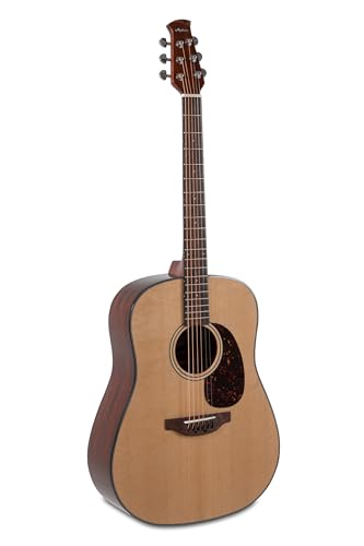 Applause Acoustic Guitar Wood Classics AAD96-4 Natural Gloss