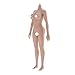 Flameer 1/6 Scale Female Seamless Body Large Bust Stainless Steel Figure Doll Gift New Wheat Skin