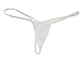 Deargirl Panty T Back G-String Thong for Women Cotton/lace (One Size(FITS Most XS to M), White Mesh)