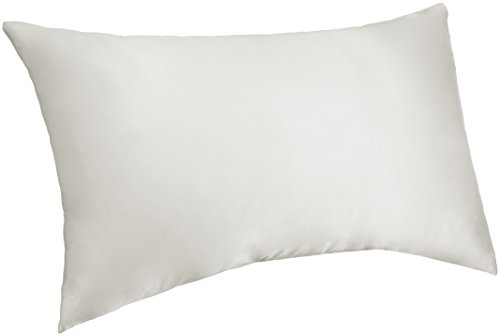 Pinzon Mulberry Silk Pillowcase - Queen, White