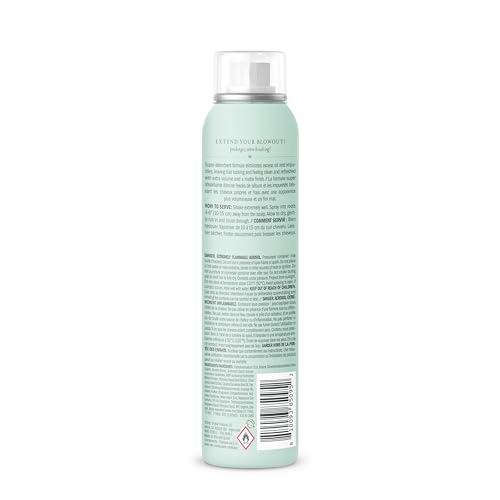DRYBAR DETOX DRY SHAMPOO ORIGINAL SCENT – FULL SIZE | ABSORBS EXCESS OIL, LEAVES HAIR LOOKING AND FEELING CLEAN & REFRESHED WITH EXTRA VOLUME, ALL HAIR TYPES