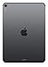 Apple iPad Pro (11-inch, Wi-Fi + Cellular, 64GB) - Space Gray (Latest Model)