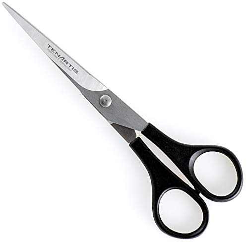 Stainless Steel Lightweight Grooming Scissors for Dogs and Cats 15 cm/6 inch with PVC Case - Tenartis 562 Made in Italy