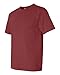 Comfort Colors 1717 Pigment-Dyed Short Sleeve Shirt (Brick, X-Large)