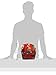 Season's Greetings Christmas Holiday Gourmet Food Gift Basket