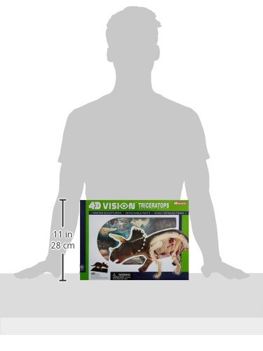 Famemaster 4D Vision Triceratops Anatomy Model