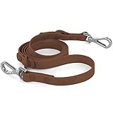 Waterproof Dog Leash: Standard Dog Leashes with 2