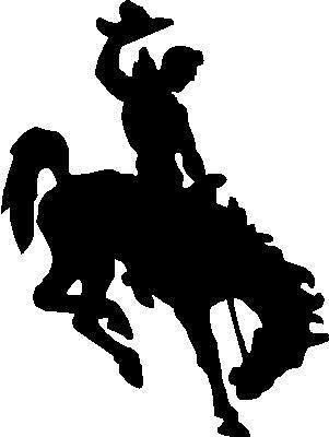 Bronc Trainers4me - 
