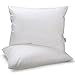 HOMFY Premium Cotton Pillows for Sleeping Queen, Set of Two Super Soft Bedding Pillow, Hypoallergenic, Anti Dust Mite and Mold & Mildew Resistant - White (White, Queen)