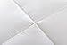 Down Alternative Comforter (White,King) - Quilted Comforter - Hypoallergenic, Plush Siliconized Fiberfill Duvet Insert - Baffle Box Stitched Exclusively by The Great American Store RN# 148186