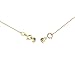 Everyday Elegance Yellow Gold Filled Round Magnetic Clasp Converter for Necklace or Bracelet with Spring Ring, 2 Clasps