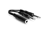 Hosa YPP-106 1/4" TSF to Dual 1/4" TS Y Cable