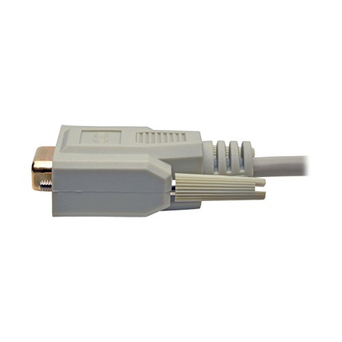 Tripp Lite Straight Through Serial RS232 Extension Cable  (DB9 M/F) 6-ft.(P520-006)